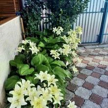 Вулиця