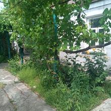 Вулиця 
