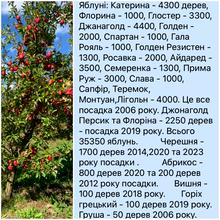 Вулиця 