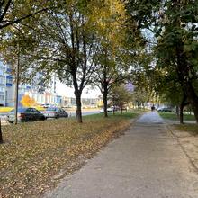 Вулиця 