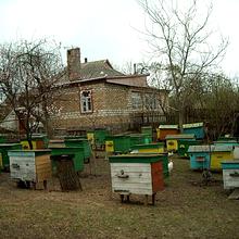 Вулиця