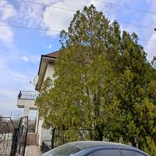 Вулиця 