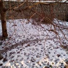 Вулиця 