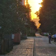 Вулиця 