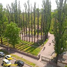 Вулиця 
