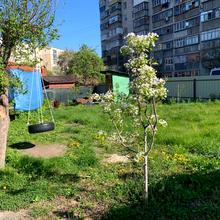 Вулиця 