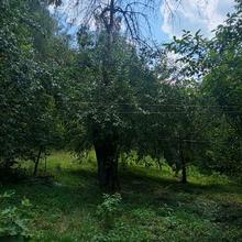 Вулиця 