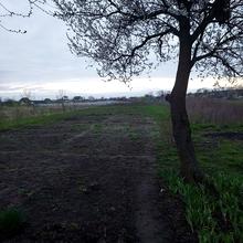 Вулиця 