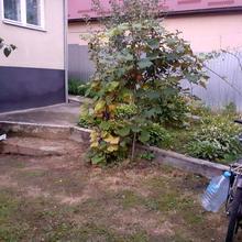 Вулиця 