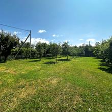 Вулиця 