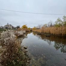 Вулиця 