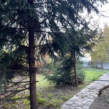 Вулиця