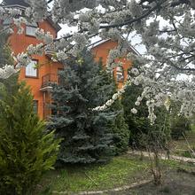 Вулиця 