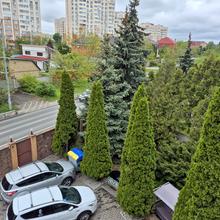 Вулиця 