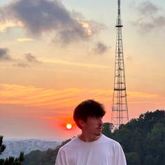 Космин Денис