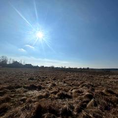 Комфорт Real Estate