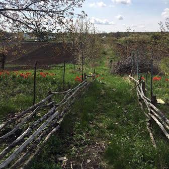 Продаж будинку   с.Берестівець