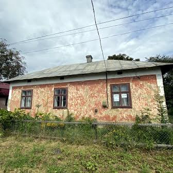 Будинок в с. Букачівці