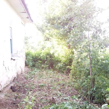 Продається будинок під реставрацію із земельною ділянкою, смт Цибулів