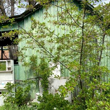 Продається дача в дачному кооперативі