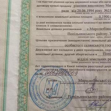 Будинок з ділянкою