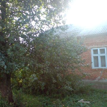 Терміново Продам будинок в селі