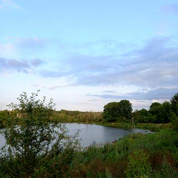 Земельна ділянка  с.Вільховець