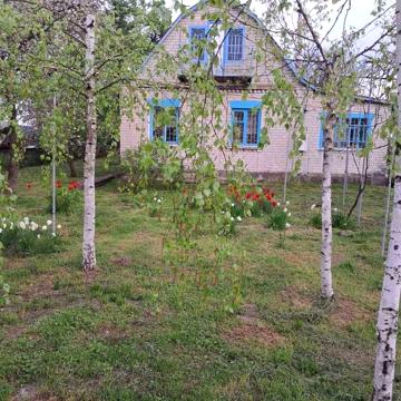 Продам будинок у с. Перемога  із земельною ділянкою 64 сотки