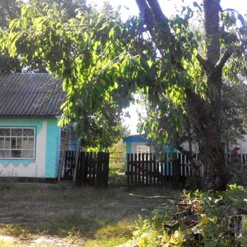 Продається дім в с. Поташ, Маньківський район