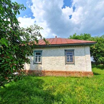 Будинок в смт.Березна