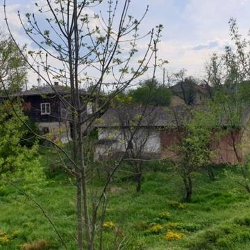 Продам добротний будинок в Долині