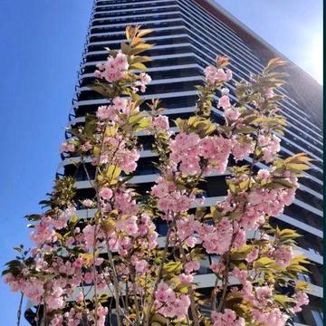 Власник продам 2к квартиру 84м з документами ЖК Грейт без комісії ЖК Грейт / Great /