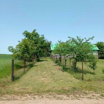 Продам будинок в селі Рогожани