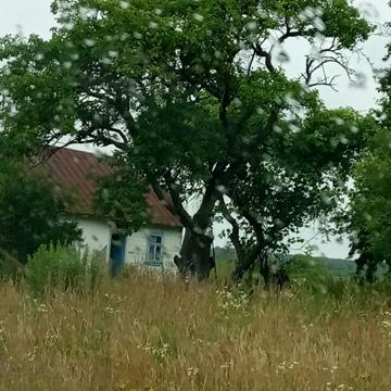 Дача за містом без сусідів