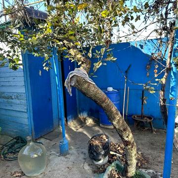 Продам дом в Черноморке