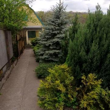 Продам дачу, участок на берегу залива Днепра.