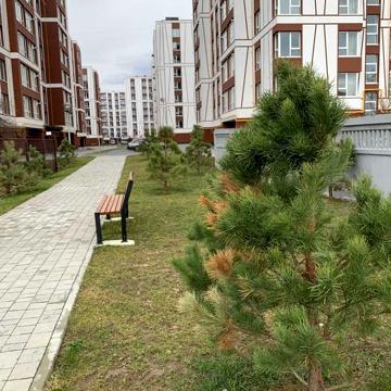 3 кім квартира в ЖК Опришівська Слобода