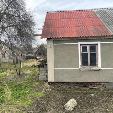Будинок з прилеглою територією