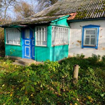 Хата дача з земельною ділянкою Стара Басань Чернігівська область