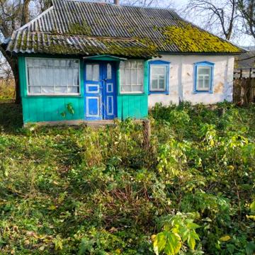 Хата дача з земельною ділянкою Стара Басань Чернігівська область