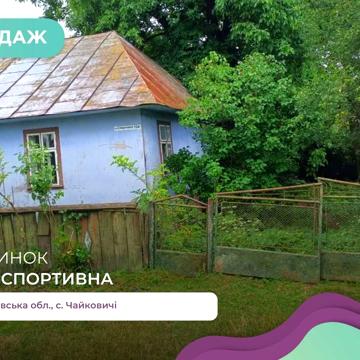Будинок в тихому місті з великою ділянкою