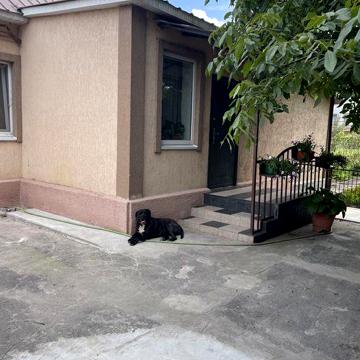 Продам дом с ремонтом и мебелью Левый берег