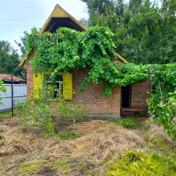 Продам дачу,кооператив"Дніпровський Залив" по трасі на Горішні Плавні.