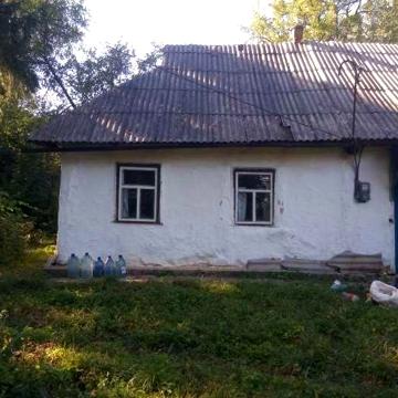 Будинок в нежитловому стані на березі ставка