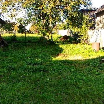 Будинок із землею