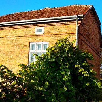 Будинок із землею