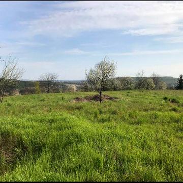 Дім , 33 сотки  5км від Мукачево. Участок