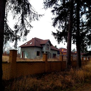Соснова