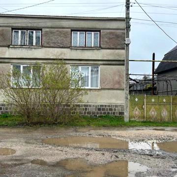 Будинок з великою ділянкою