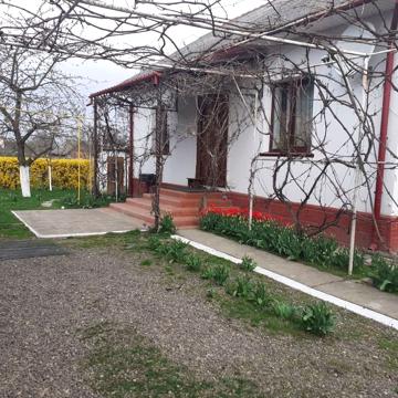 Продам будинок в центрі Неполоківців